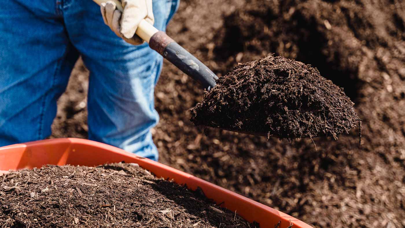 duenger-asche-kerosin