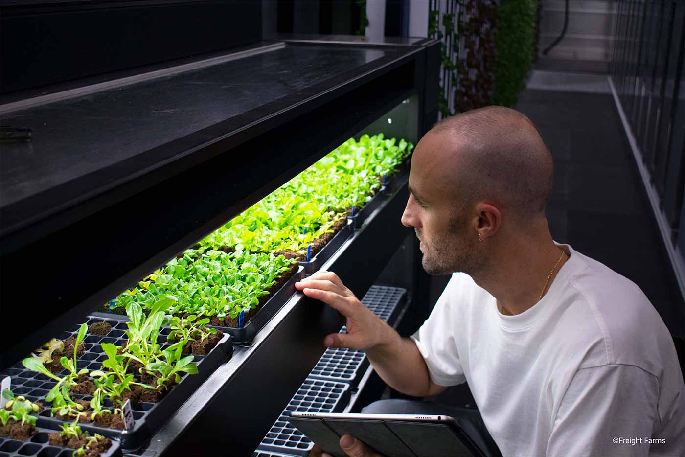 vertical-farming-nursery-