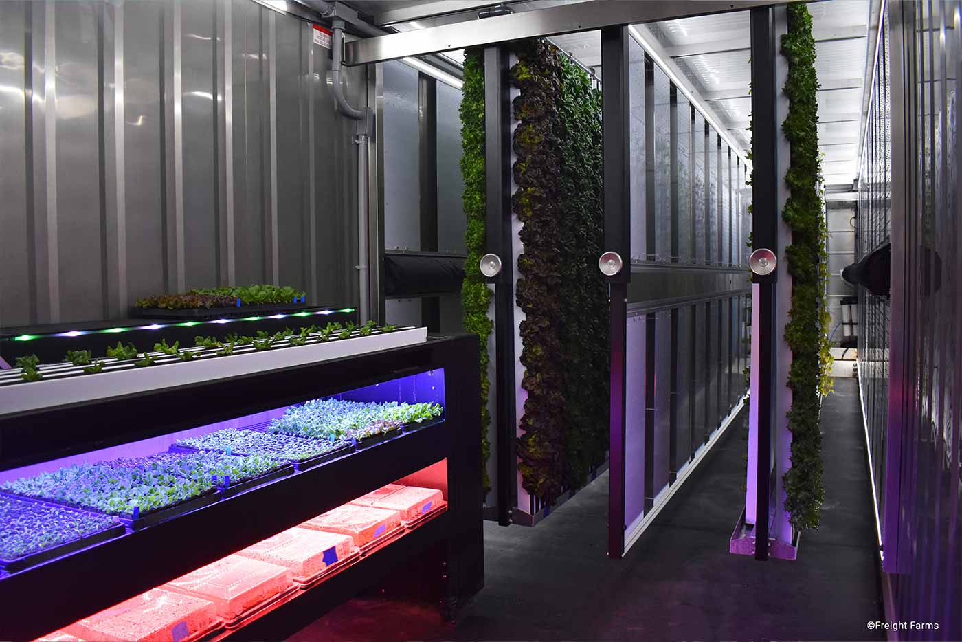 vertical-farming-nursery